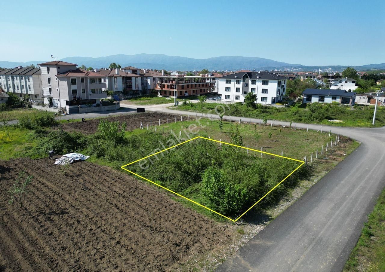Dereli Tütüncü Mahallesi'nde 476 M2 Satılık Arsa
