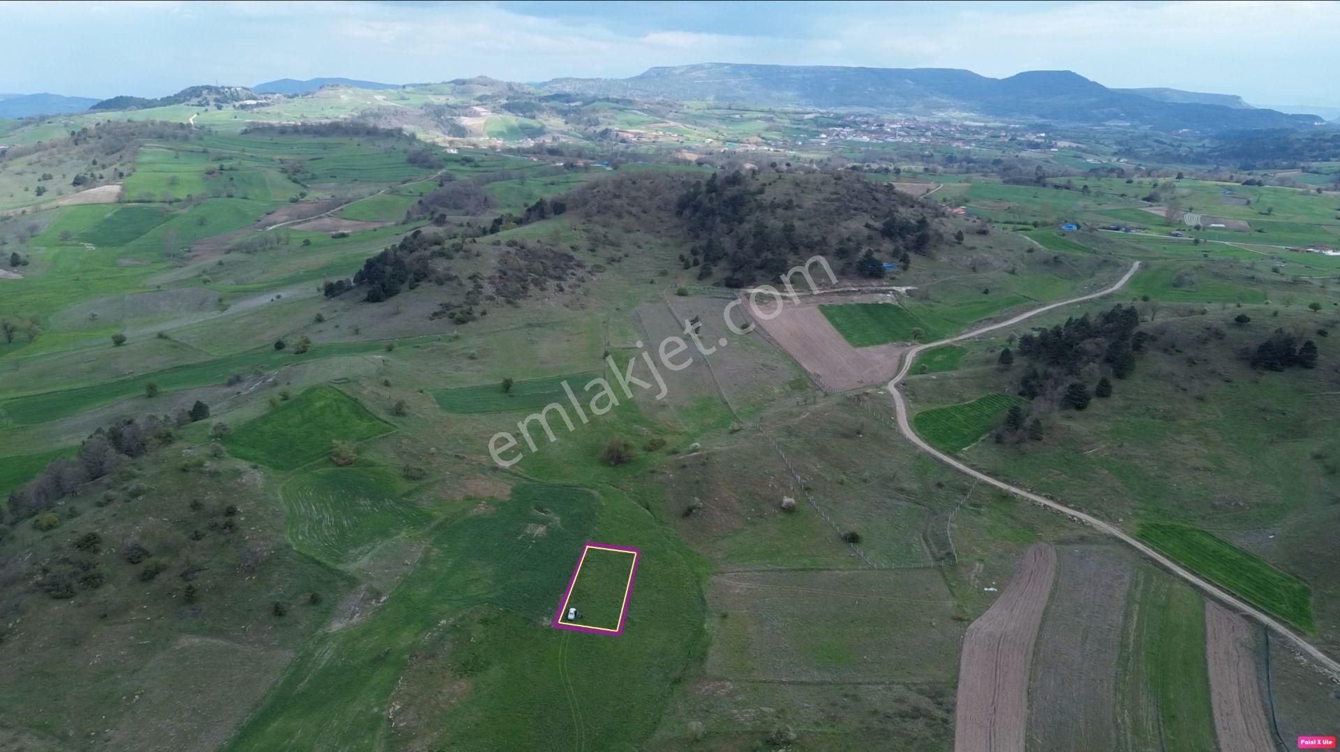 615 M2 Hobi Bahçesine Uygun Dümdüz Arazi