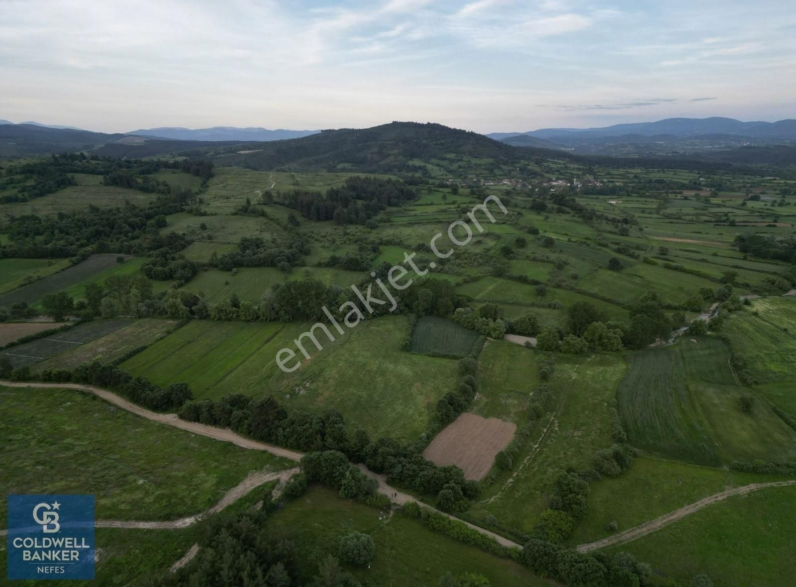 Çanakkale Yenice Karabey Köyünde 7490 M² Satılık Tarla !
