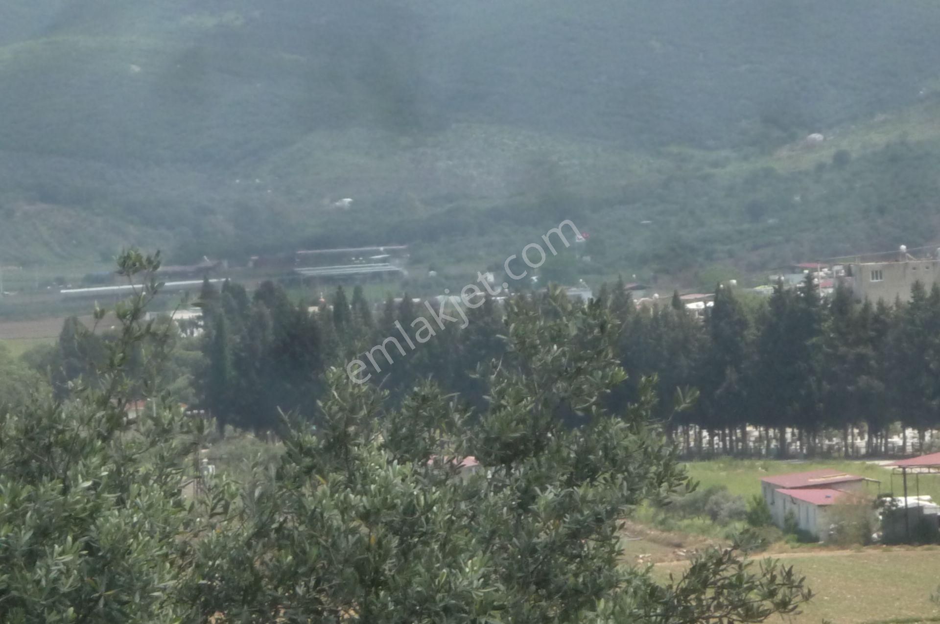 İzmir Torbalı Gold Emlaktan Satılık Zeytin Bahçesi - Görsel 11