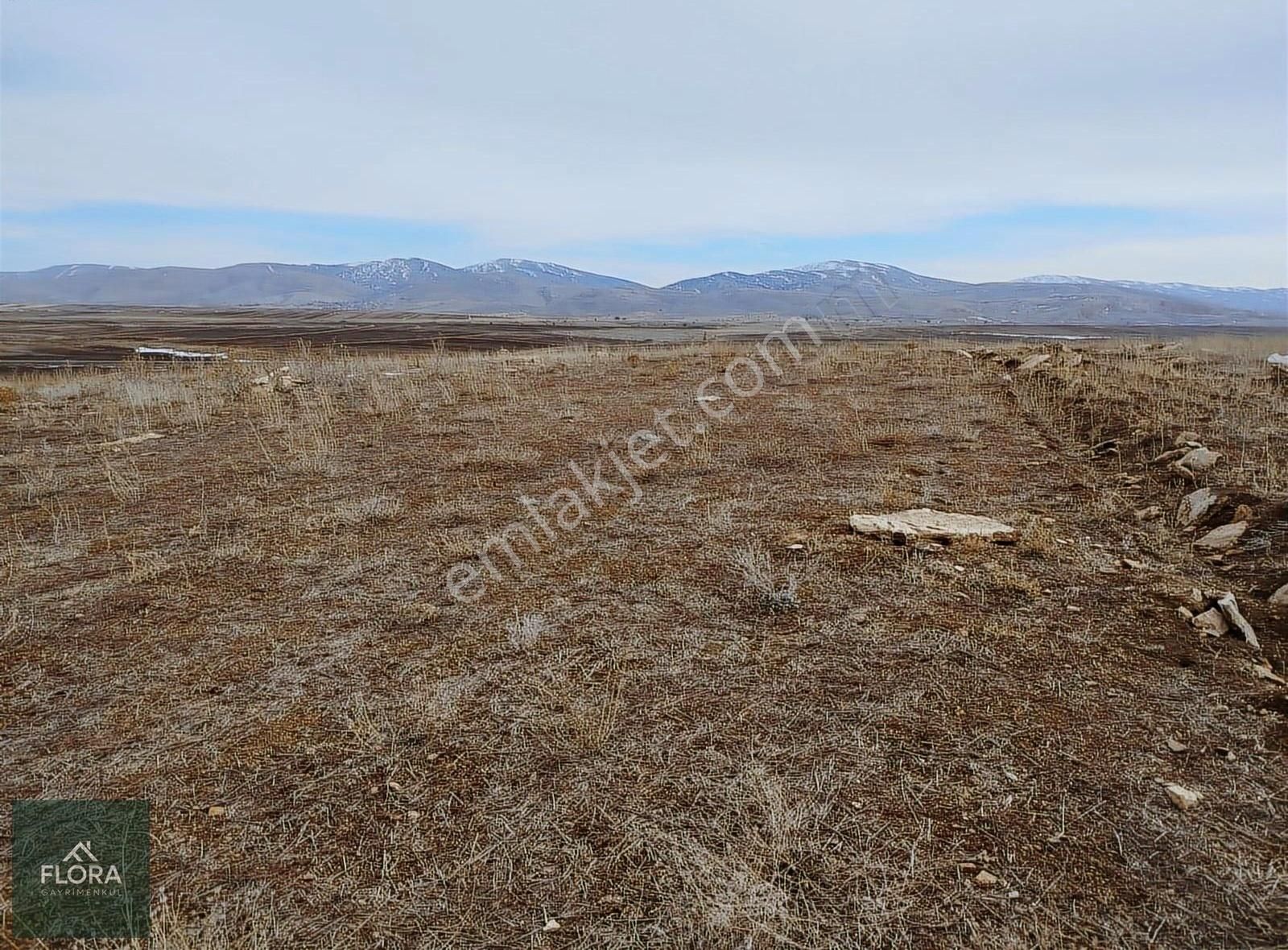 Talas Alaybeyli De Satılık Tek Tapu 20.000 M² Yola Yakın Tarla