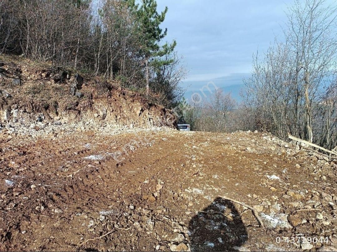 Kestel Osmaniye 2097 Metre (65) +