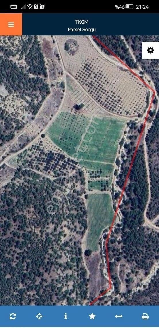 Şehir Emlak Gayrimenkul Den Mut. Bayır Köyünde Satılık Zeytin Bahçesi