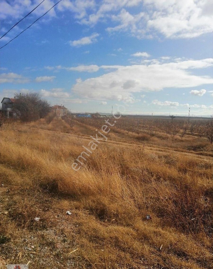 Karaman İli Yeşildere Köyünde Ereğli Yoluna Cepheli Satılık Bahçe - Görsel 2