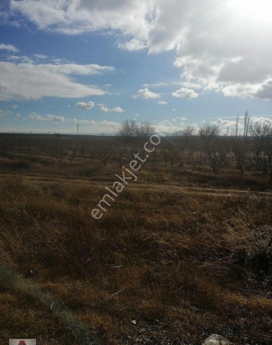 Karaman İli Yeşildere Köyünde Ereğli Yoluna Cepheli Satılık Bahçe - Görsel 8