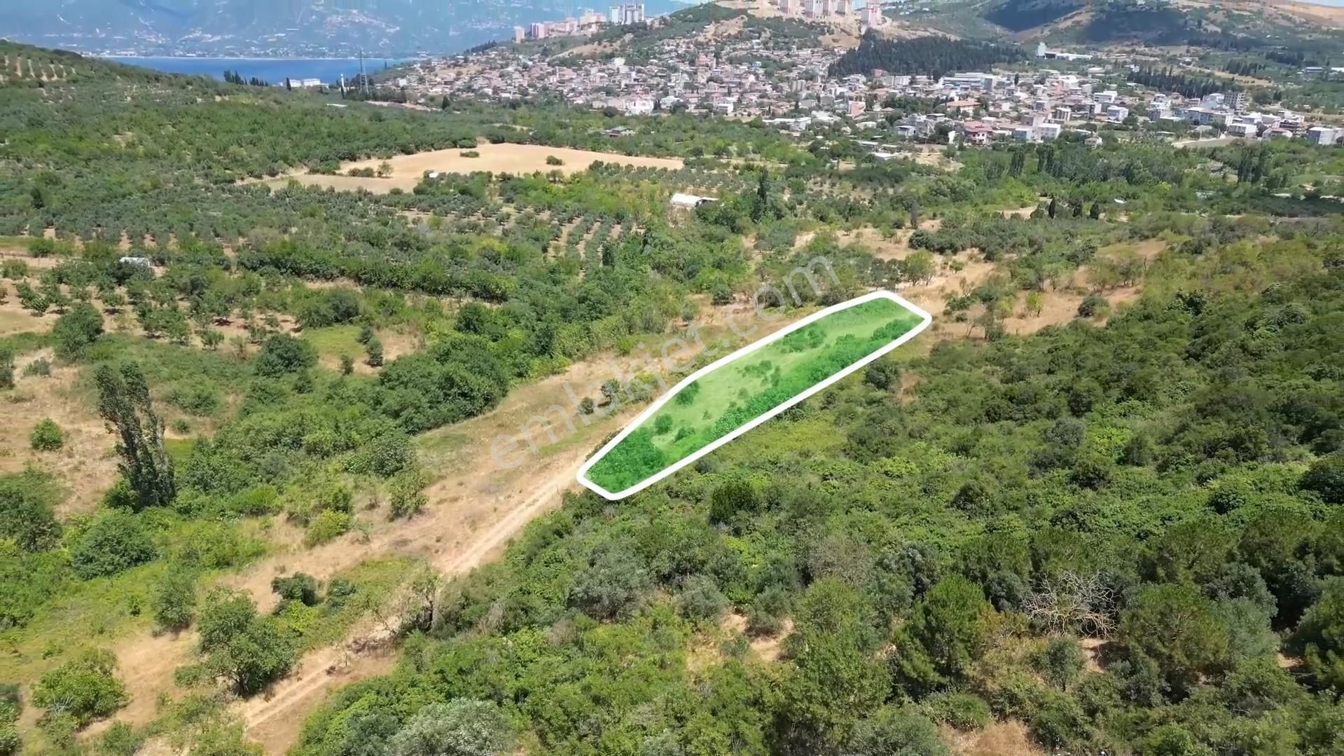 Balıkesir Bandırma Edincik Mah. Yola 100 Metre Cepheli Arsa