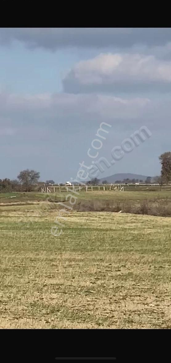 Ayaspaşada Yola Yakın 612 M2 Hisseli Yerimiz Satılık