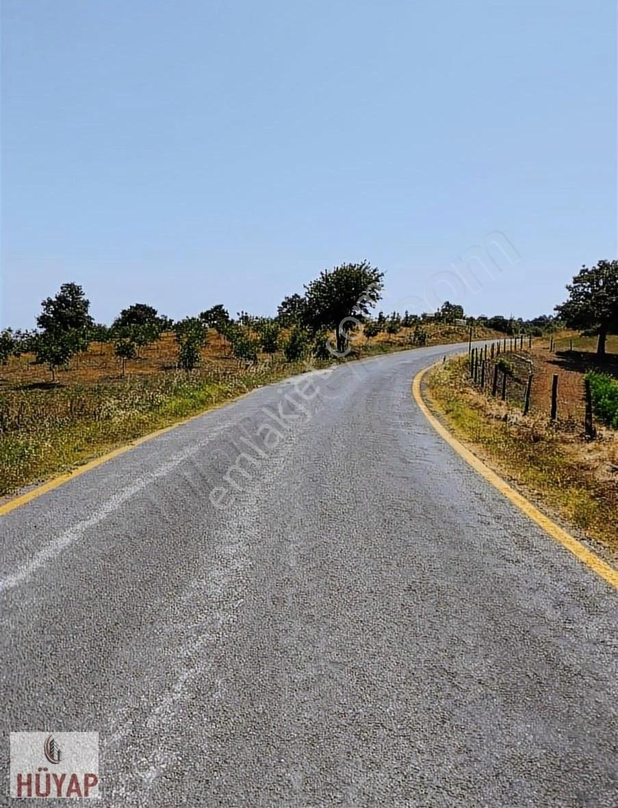 Çanakkale Merkez Karapınar Köyünde Tam Yatırımlık Tarla