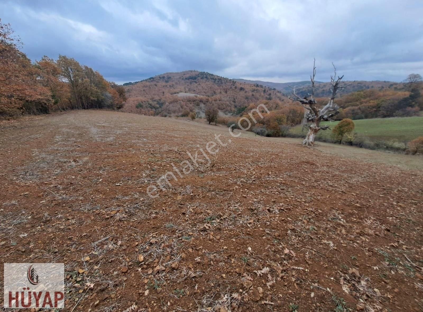 Çanakkale Merkez Salihler Köyünde Çok Acill Satılık Tarla