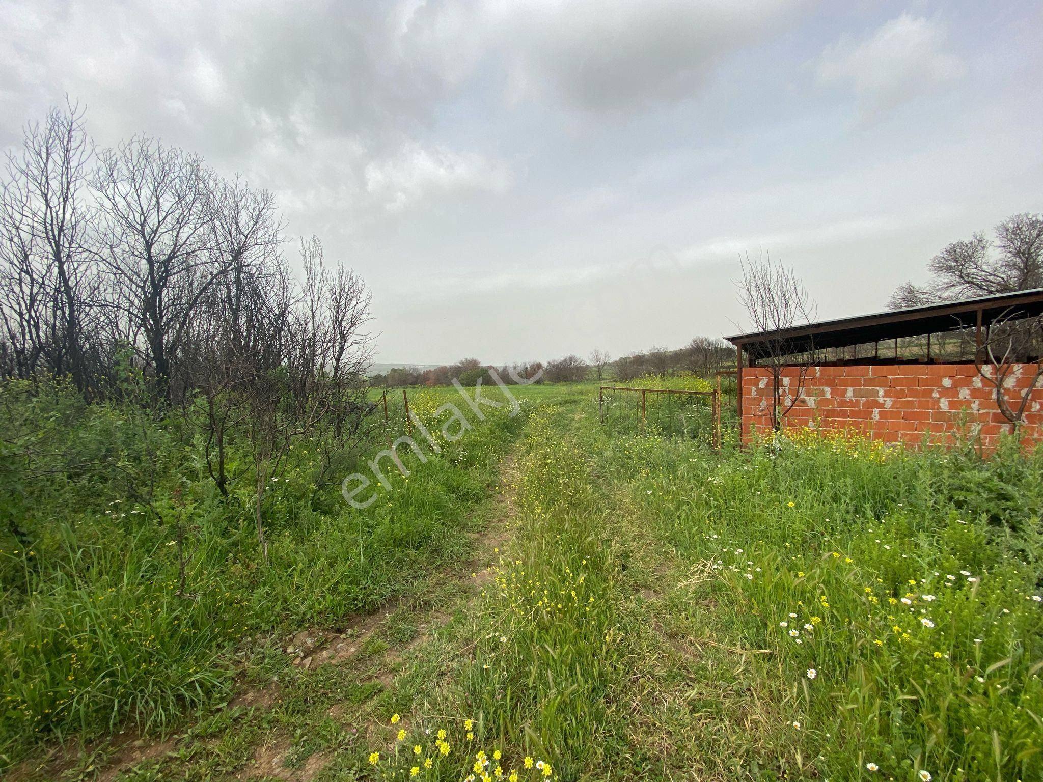 🌿 Çanakkale Yağcılar Köyü'nde 5449 M² Yatırımlık Tarla!