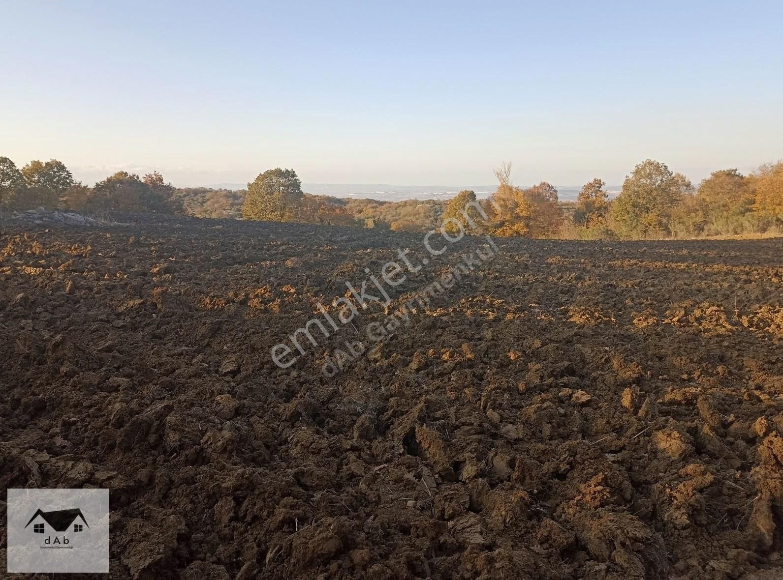 Bursa M.kemalpaşa Kazanpınar'da Ayva Köye Sınır 11.000m2 Tarla - Görsel 6