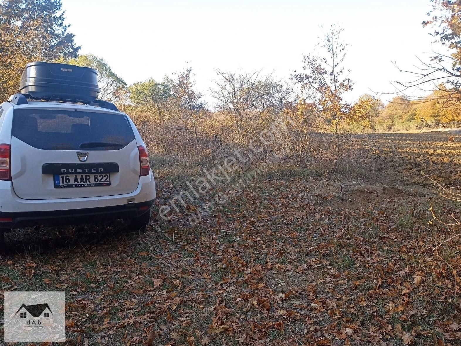 Bursa M.kemalpaşa Kazanpınar'da Ayva Köye Sınır 11.000m2 Tarla - Görsel 3