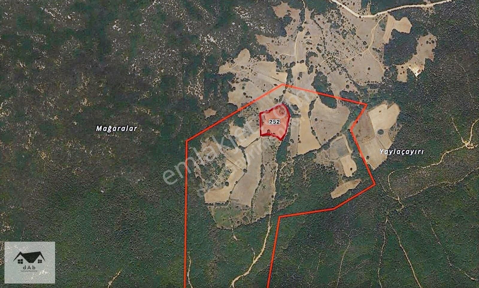 Bursa M.kemalpaşa Kazanpınar'da Ayva Köye Sınır 11.000m2 Tarla - Görsel 7