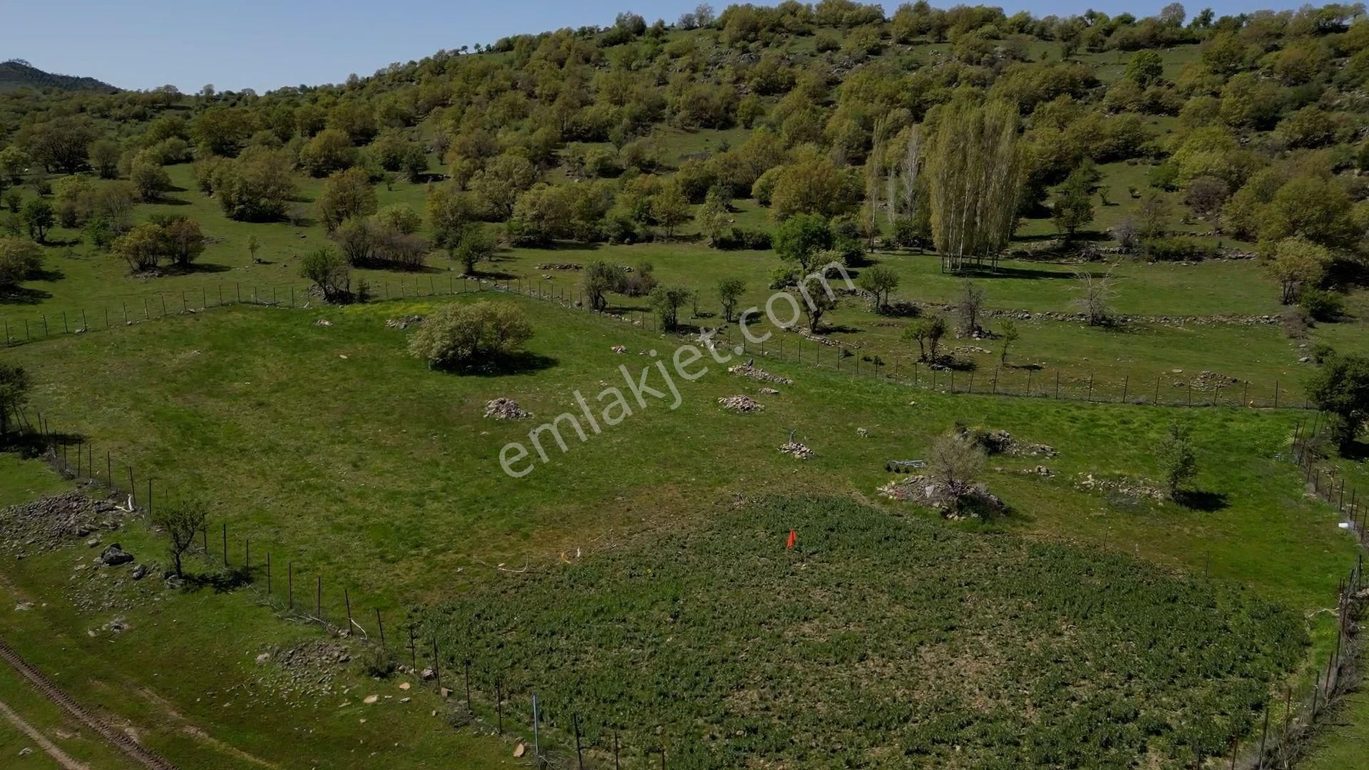Balıkesir Havran Taşarası Mahallesinde Satılık Yatırımlık 52 Dönüm Tarla
