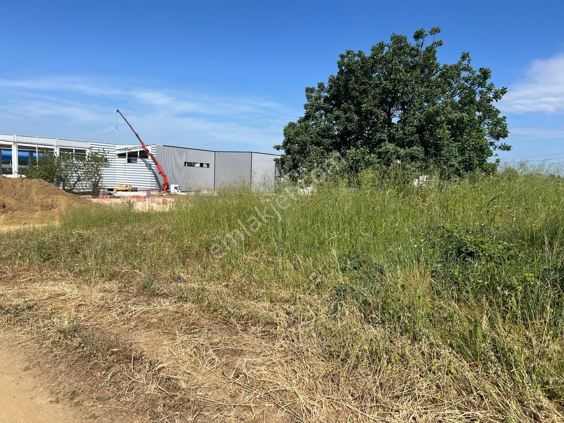 Nilüfer/hasanağa Mah. 'de Hosb Karşısı Asfalta Cepne Satılık Tarla - Görsel 8