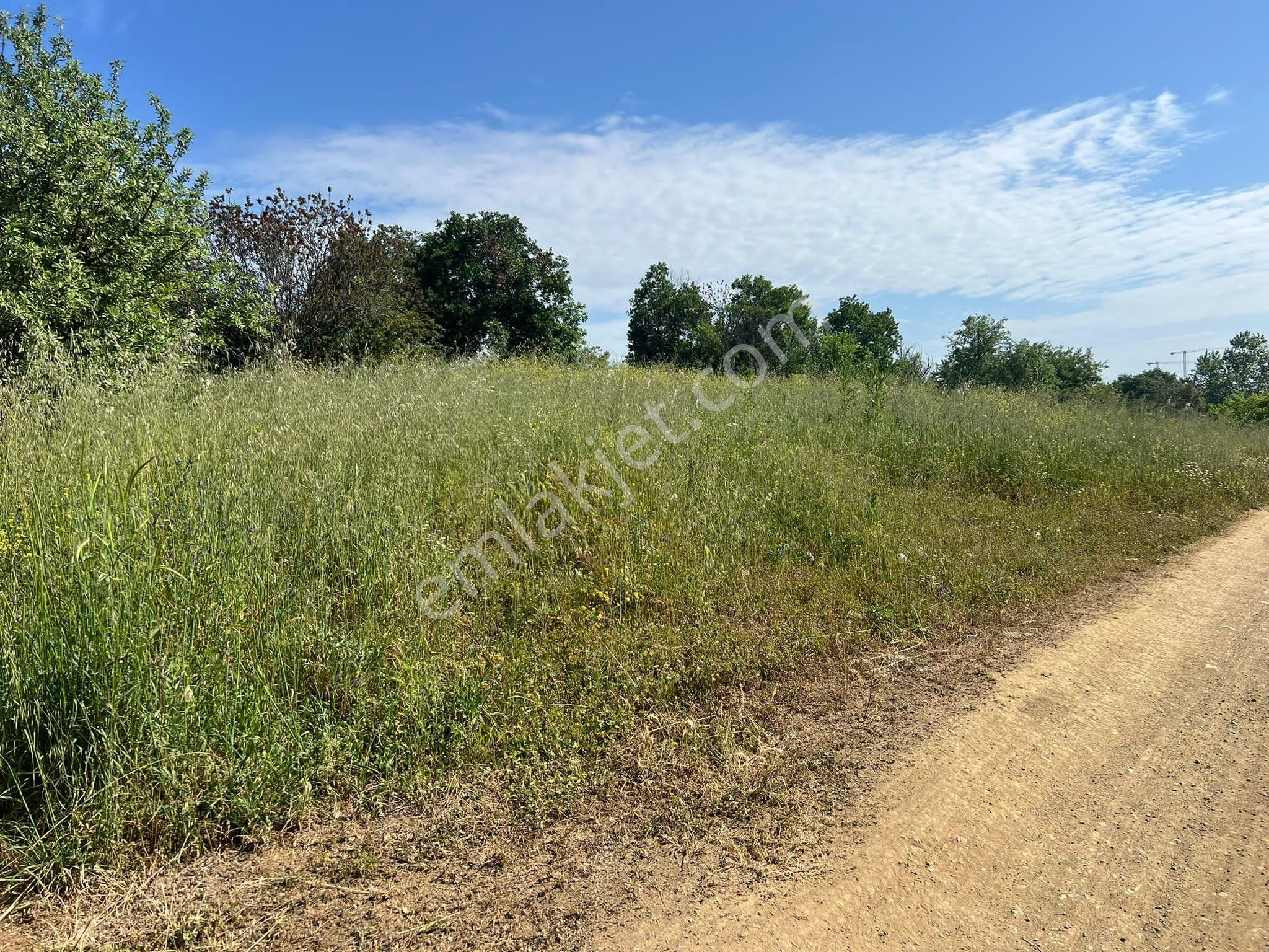 Nilüfer/hasanağa Mah. 'de Hosb Karşısı Asfalta Cepne Satılık Tarla - Görsel 10