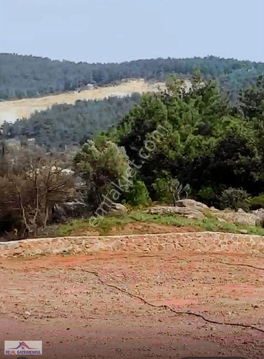 Menderes Yeniköy Tek Tapu 11.247 M2 Yol Cepheli Muhteşem Tarla