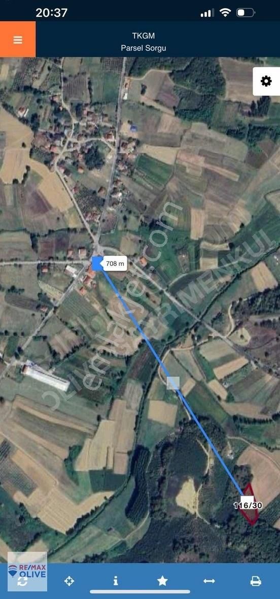 Kandıra Topluca'da 2.5 Dönüm Fındıklık Hasatı Üstünde