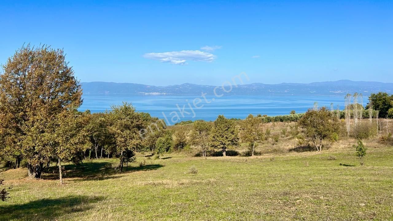 İznik Göllüce’de Panoromik Göl Manzaralı 12.817 M² Satılık Tarla - Görsel 3