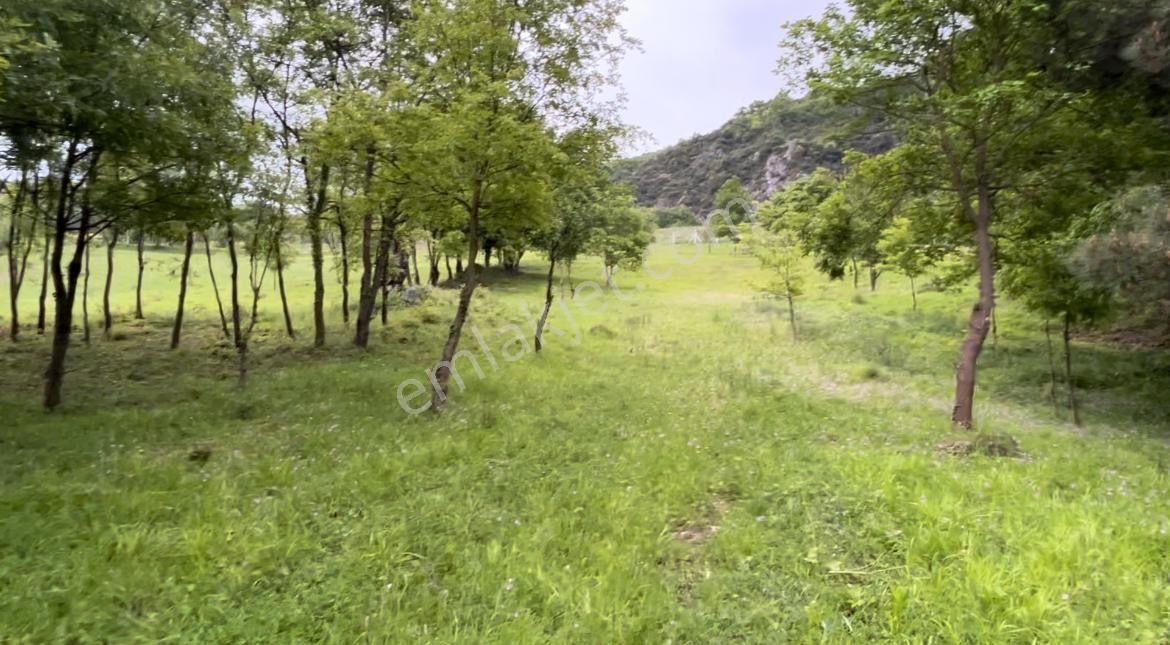 İznik Göllüce’de Panoromik Göl Manzaralı 12.817 M² Satılık Tarla - Görsel 8