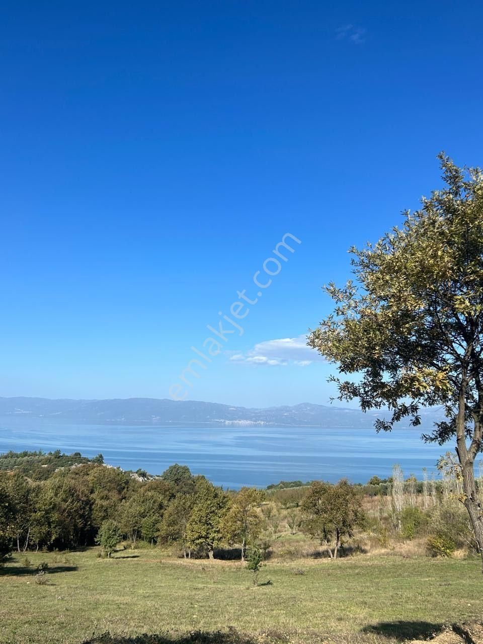 İznik Göllüce’de Panoromik Göl Manzaralı 12.817 M² Satılık Tarla - Görsel 5
