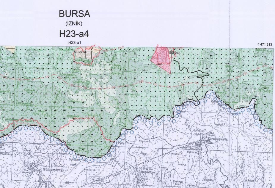İznik Göllüce’de Panoromik Göl Manzaralı 12.817 M² Satılık Tarla - Görsel 2