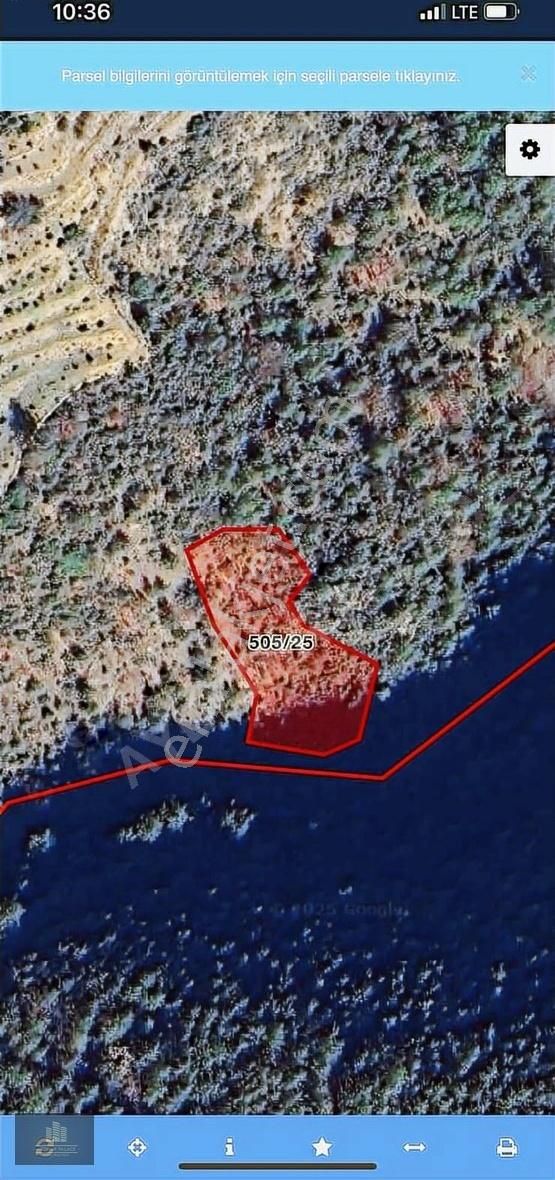 Alanya Camlıca Köyünde 3,168m2 Satılık Uygun Tarla - Görsel 6