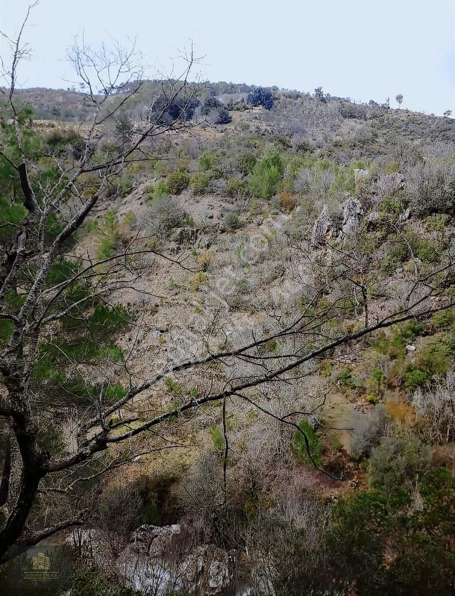 Alanya Camlıca Köyünde 3,168m2 Satılık Uygun Tarla - Görsel 5