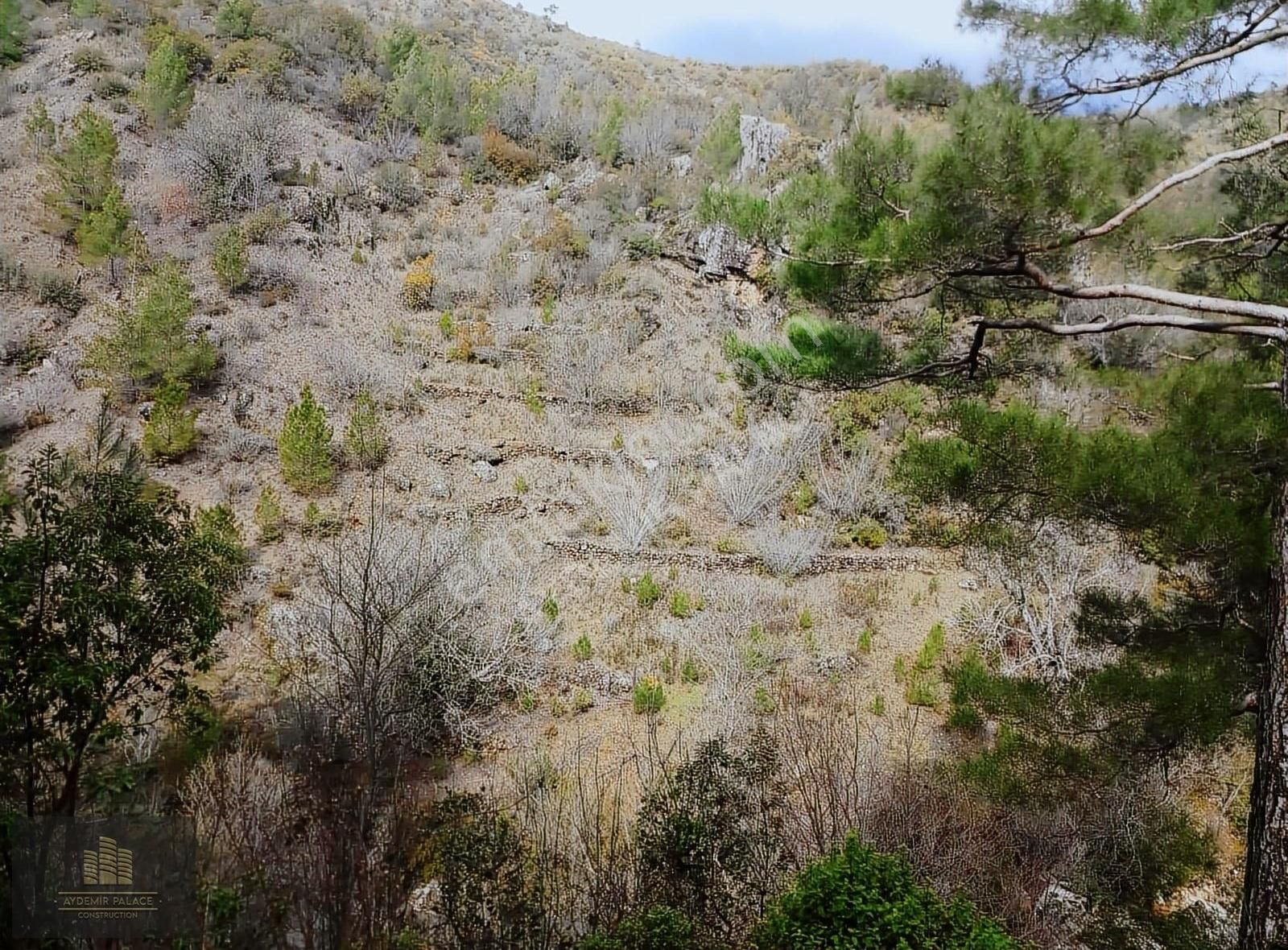 Alanya Camlıca Köyünde 3,168m2 Satılık Uygun Tarla
