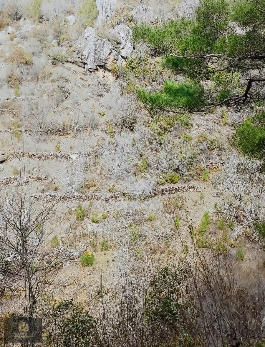 Alanya Camlıca Köyünde 3,168m2 Satılık Uygun Tarla - Görsel 16