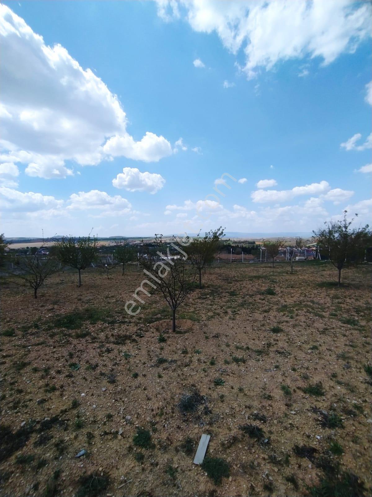 Aydıncık Mevkii 2000mt Tek Tapu 1+1 Evli Yatırımlık Arsa - Görsel 6