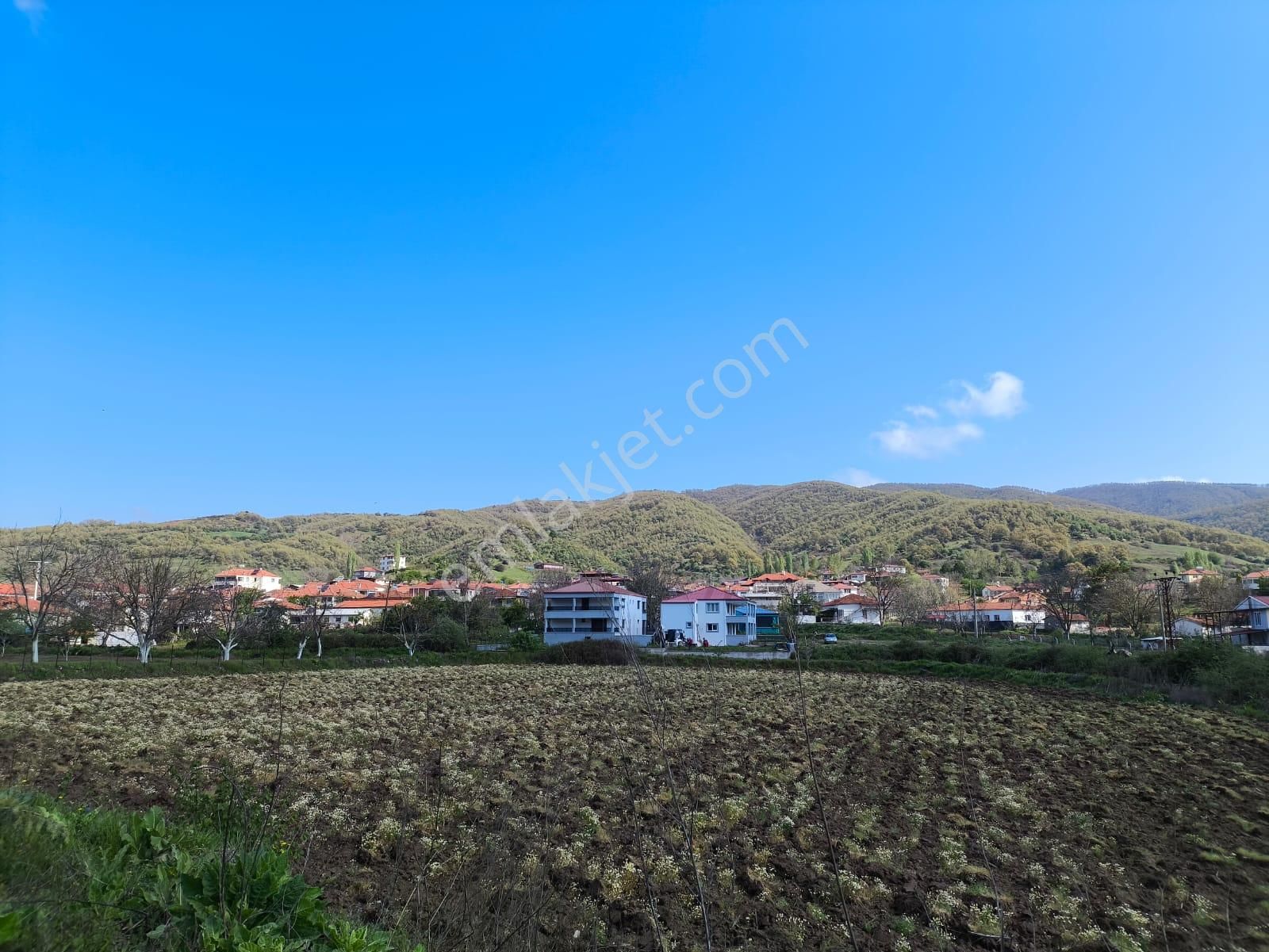 Yayla'da Köyiçi Ceviz Ağaçları İçinde Arsa - Görsel 5
