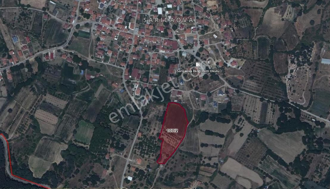 Yayla'da Köyiçi Ceviz Ağaçları İçinde Arsa - Görsel 8