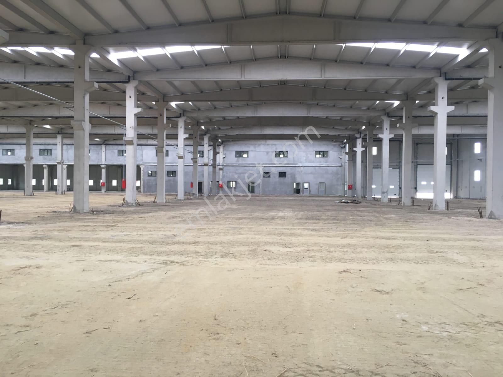 Kırklareli Lüleburgaz Büyükkarıştıran Satılık Fabrika Binası Ve Arsası