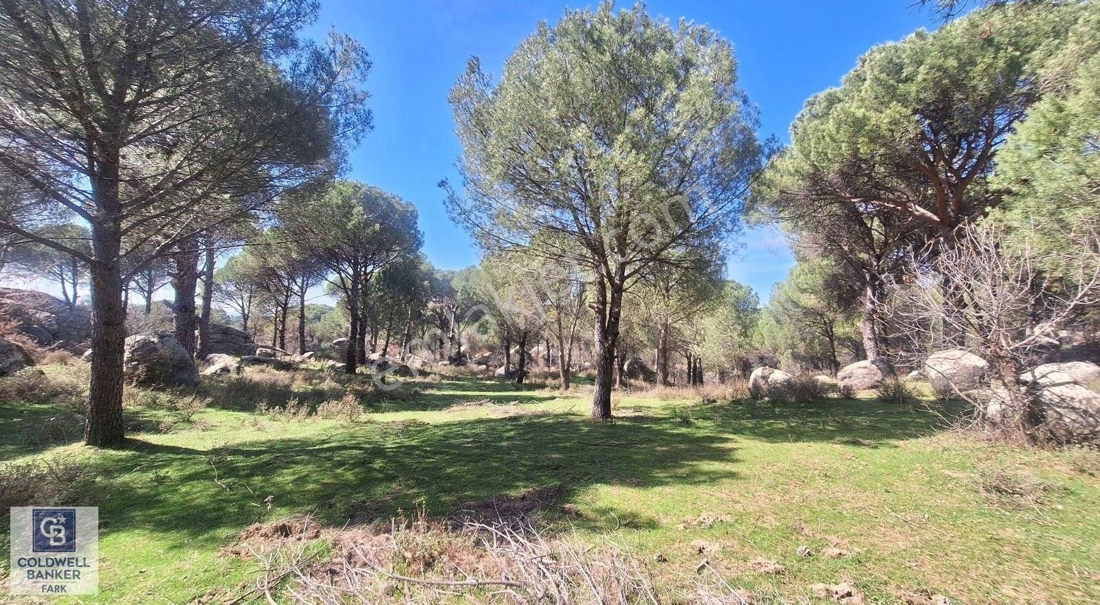 Ayvalık Bağyüzü Satılık 5868 M² Yatırımlık Tarım İmarlı Arazi - Görsel 9