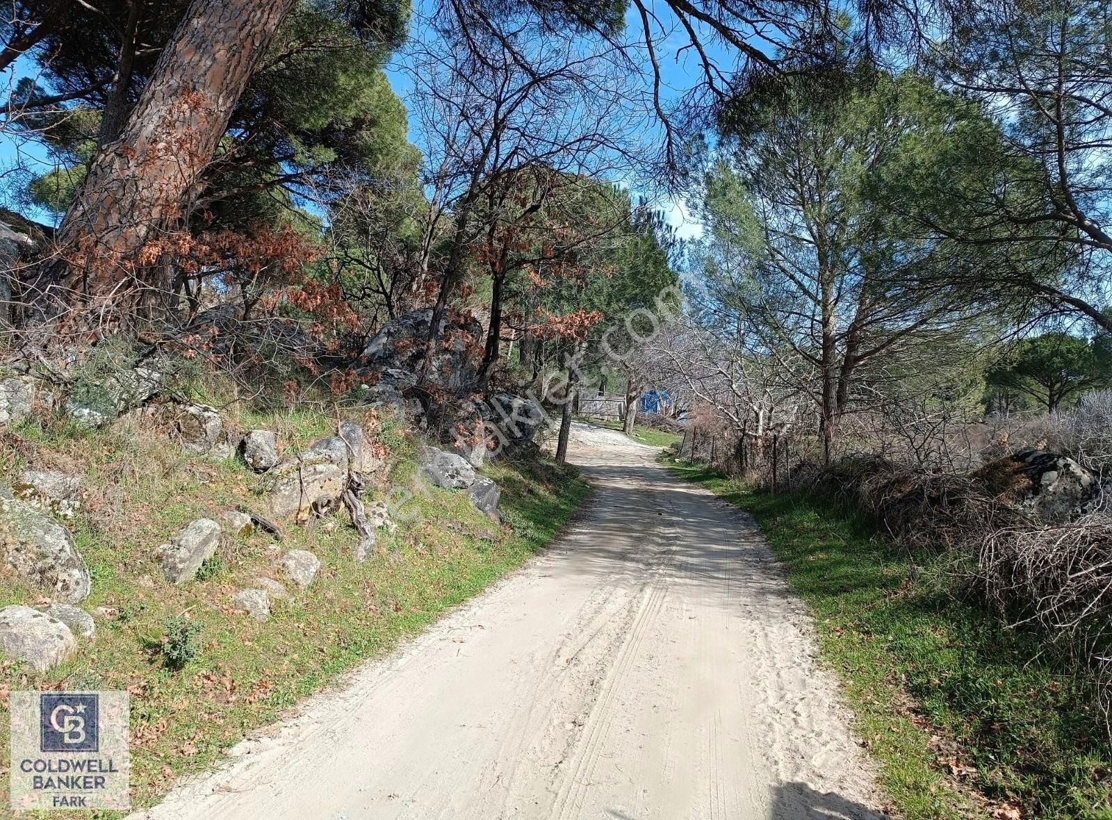 Ayvalık Bağyüzü Satılık 5868 M² Yatırımlık Tarım İmarlı Arazi - Görsel 24