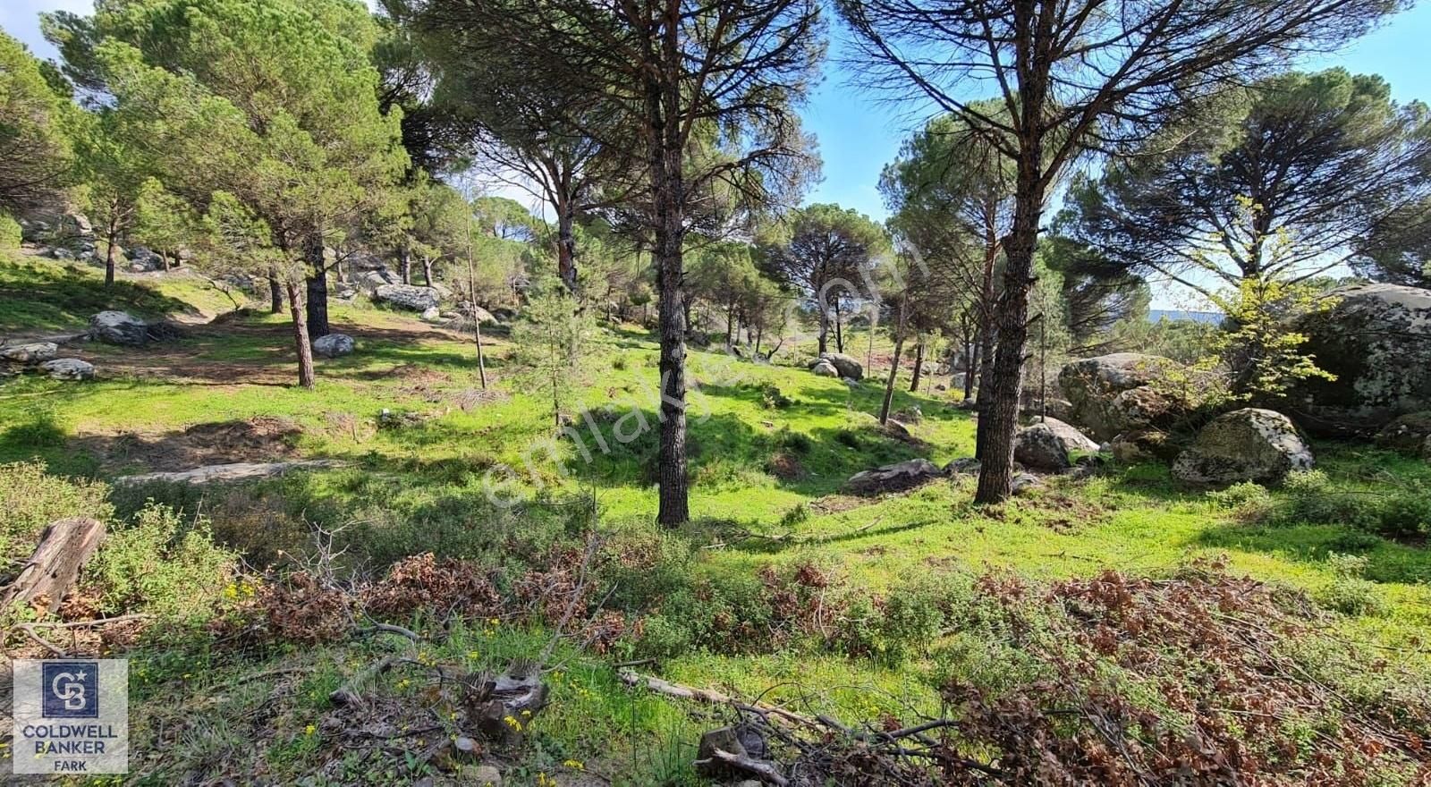 Ayvalık Bağyüzü Satılık 5868 M² Yatırımlık Tarım İmarlı Arazi - Görsel 2