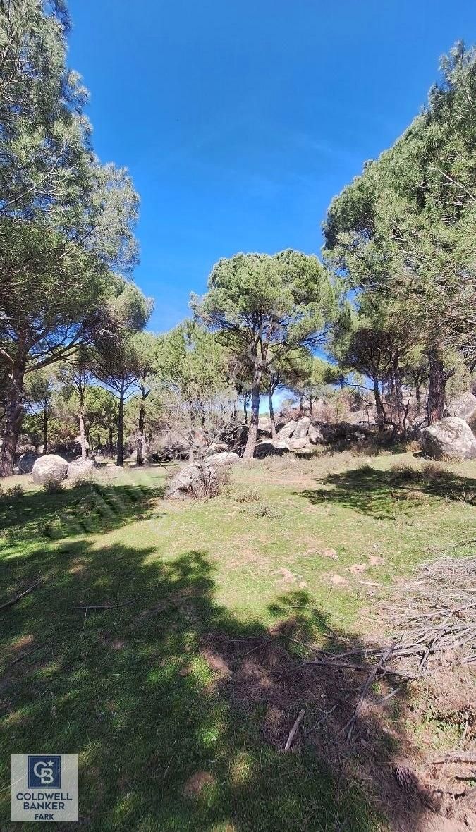 Ayvalık Bağyüzü Satılık 5868 M² Yatırımlık Tarım İmarlı Arazi - Görsel 11