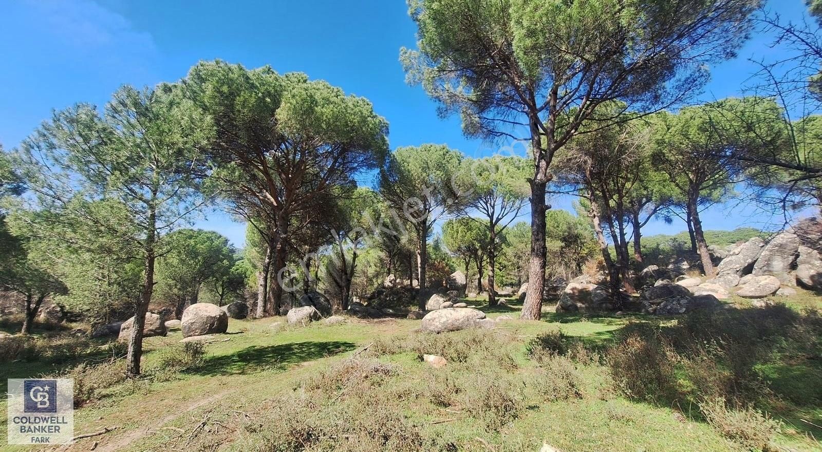 Ayvalık Bağyüzü Satılık 5868 M² Yatırımlık Tarım İmarlı Arazi - Görsel 8