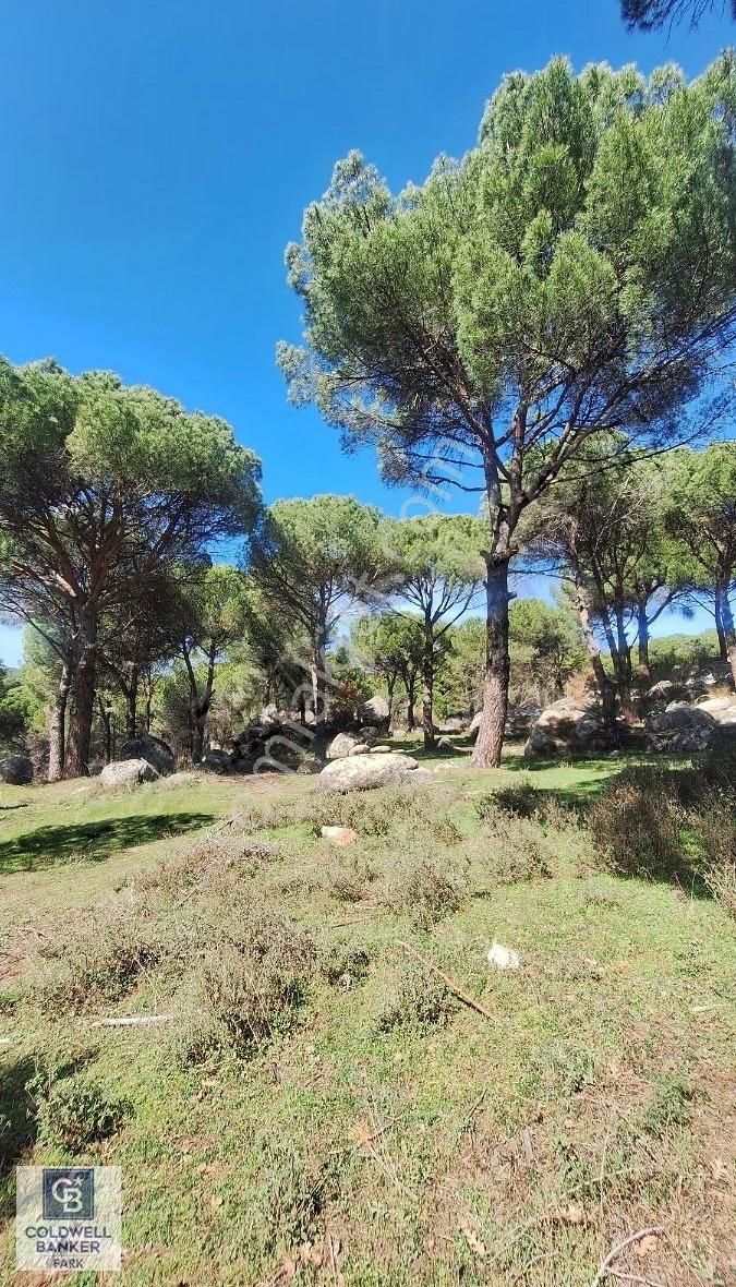 Ayvalık Bağyüzü Satılık 5868 M² Yatırımlık Tarım İmarlı Arazi - Görsel 21