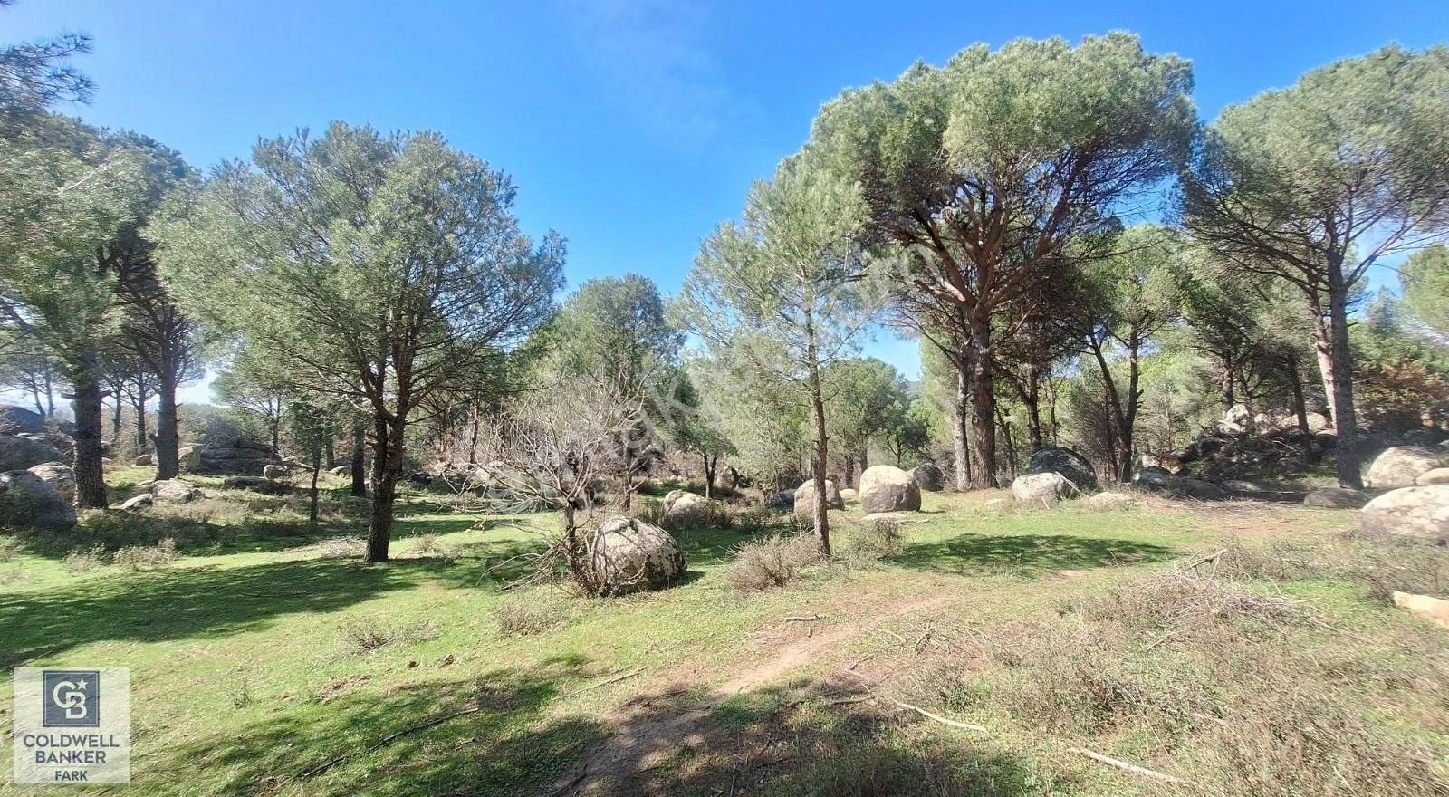 Ayvalık Bağyüzü Satılık 5868 M² Yatırımlık Tarım İmarlı Arazi - Görsel 4