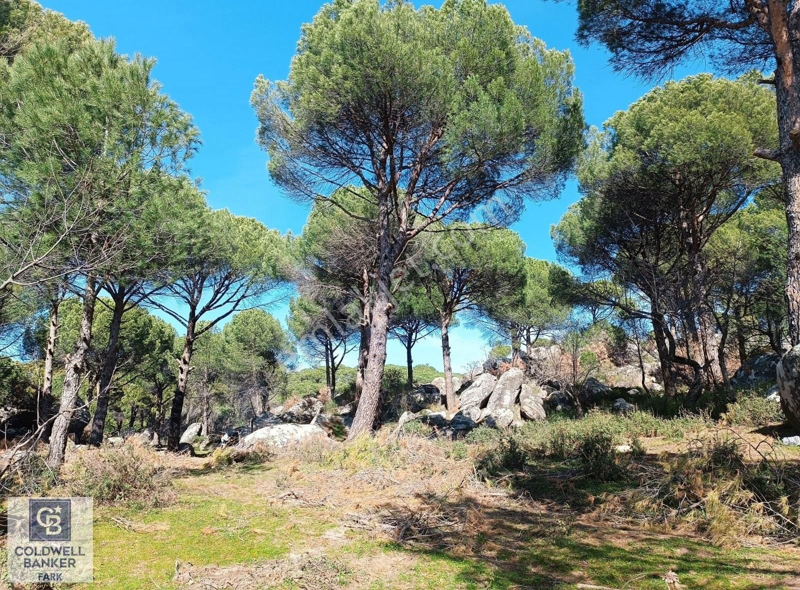 Ayvalık Bağyüzü Satılık 5868 M² Yatırımlık Tarım İmarlı Arazi - Görsel 10