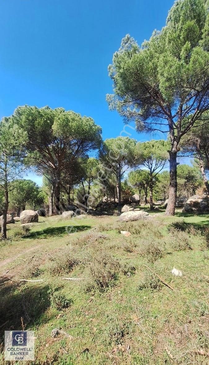 Ayvalık Bağyüzü Satılık 5868 M² Yatırımlık Tarım İmarlı Arazi - Görsel 20