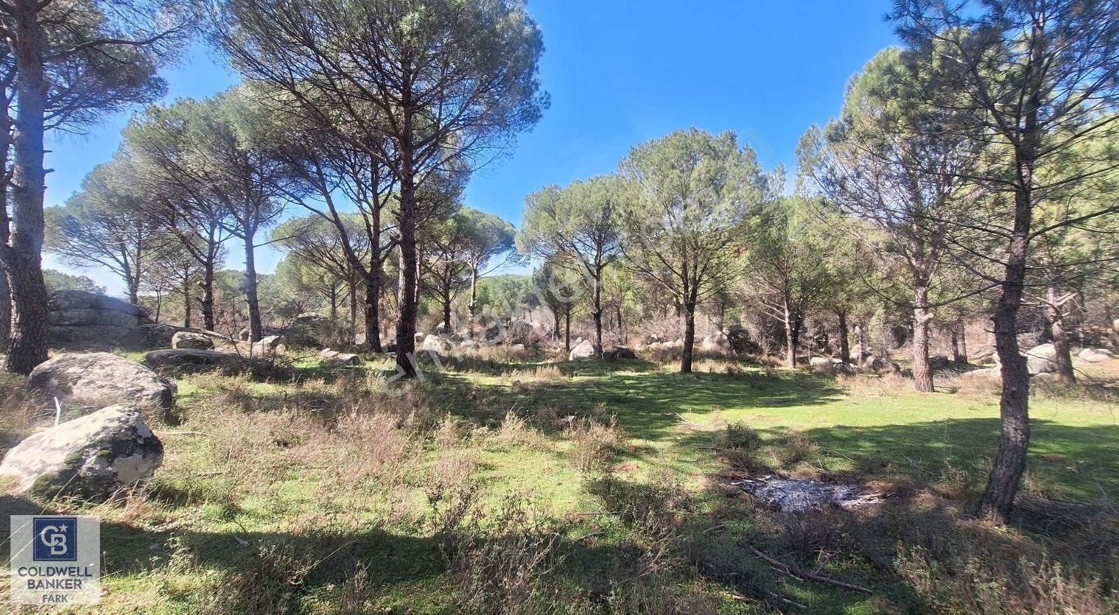 Ayvalık Bağyüzü Satılık 5868 M² Yatırımlık Tarım İmarlı Arazi - Görsel 14