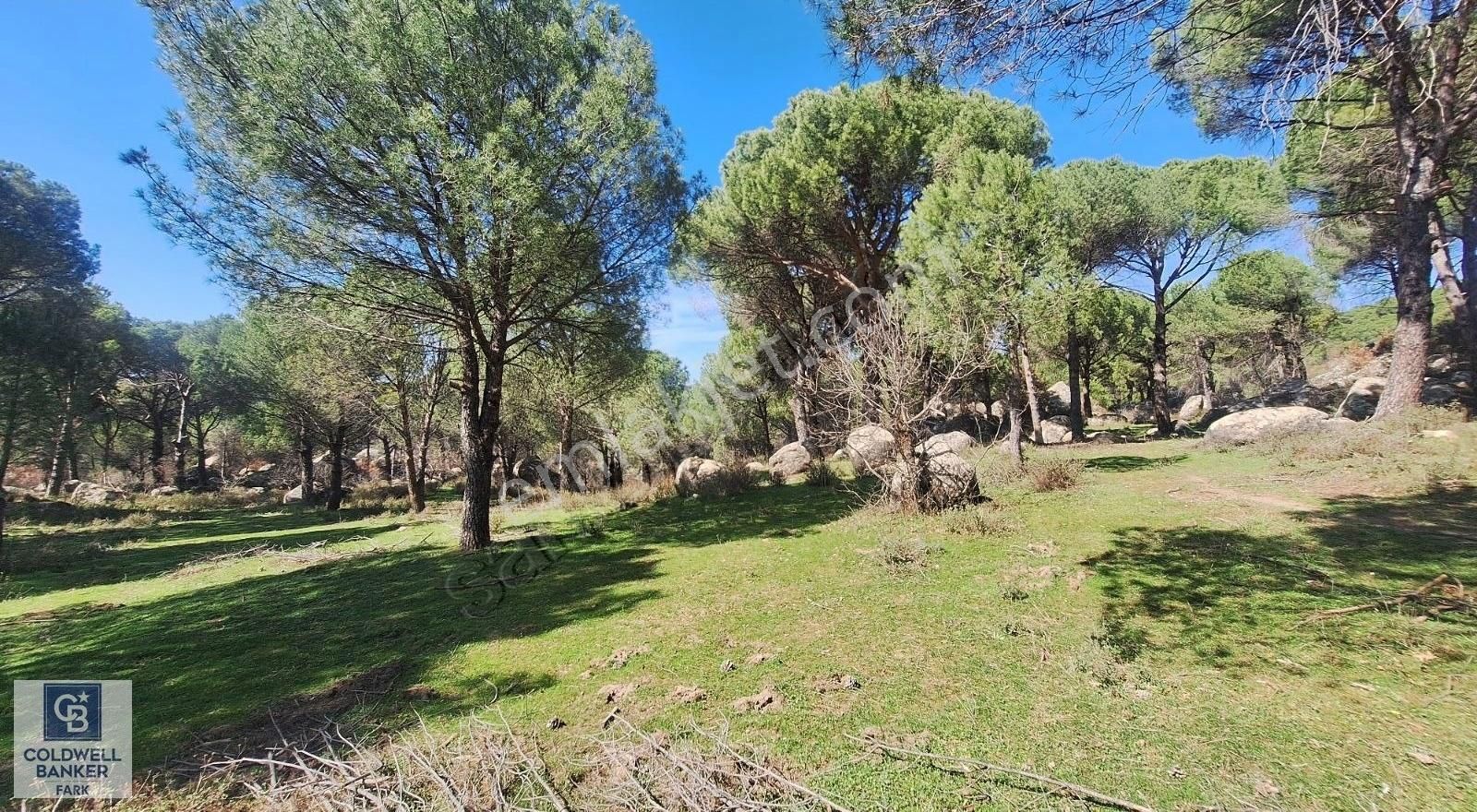 Ayvalık Bağyüzü Satılık 5868 M² Yatırımlık Tarım İmarlı Arazi - Görsel 12