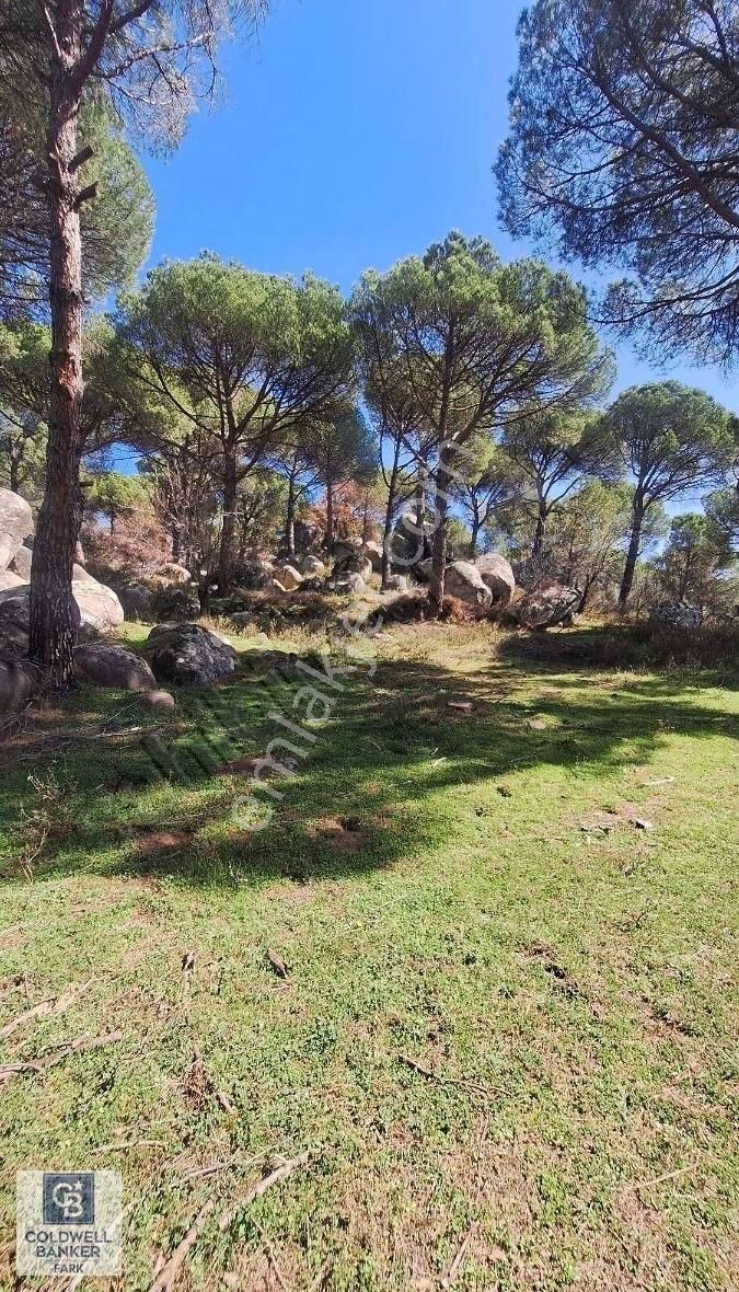 Ayvalık Bağyüzü Satılık 5868 M² Yatırımlık Tarım İmarlı Arazi - Görsel 23