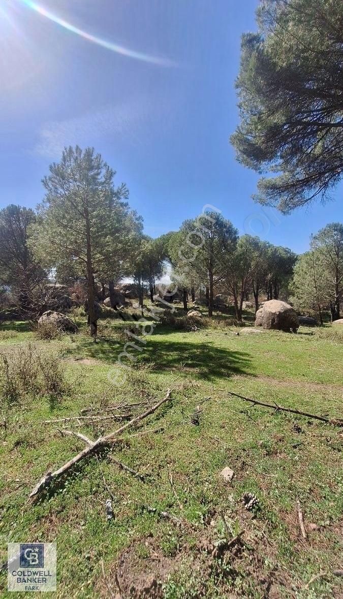 Ayvalık Bağyüzü Satılık 5868 M² Yatırımlık Tarım İmarlı Arazi - Görsel 6