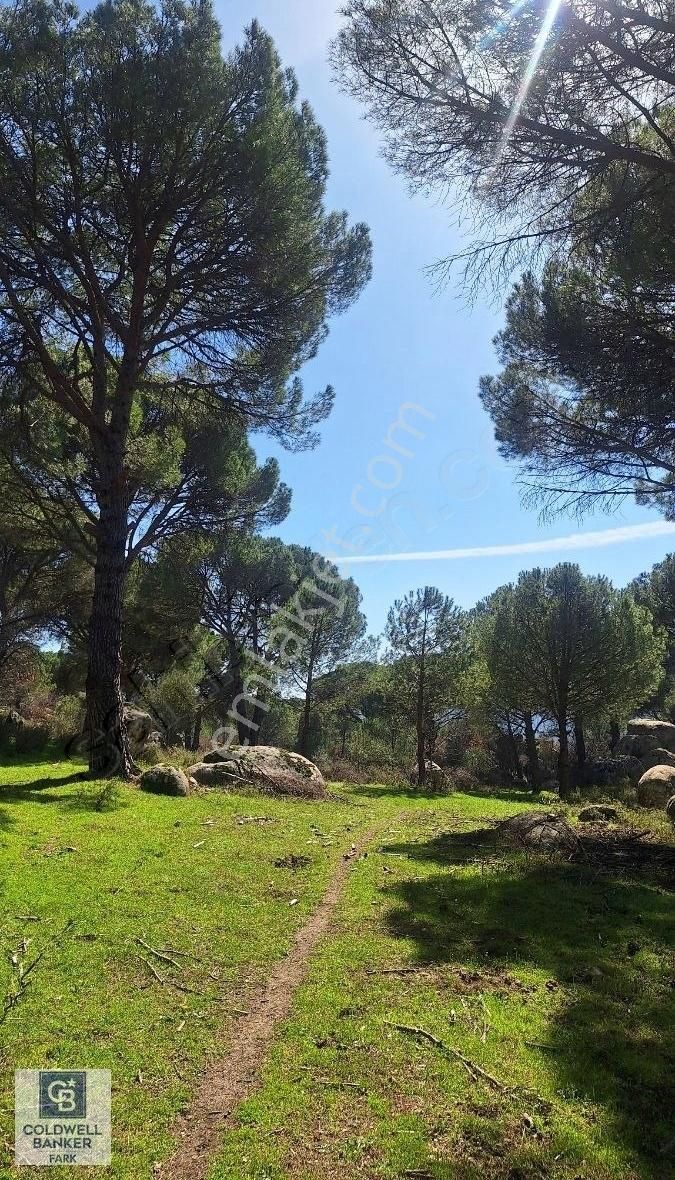 Ayvalık Bağyüzü Satılık 5868 M² Yatırımlık Tarım İmarlı Arazi - Görsel 17