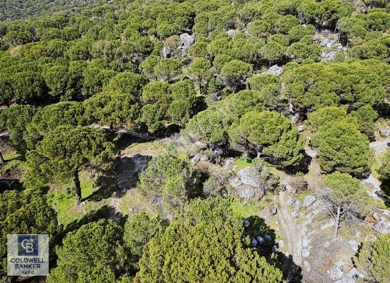 Ayvalık Bağyüzü Satılık 5868 M² Yatırımlık Tarım İmarlı Arazi - Görsel 7