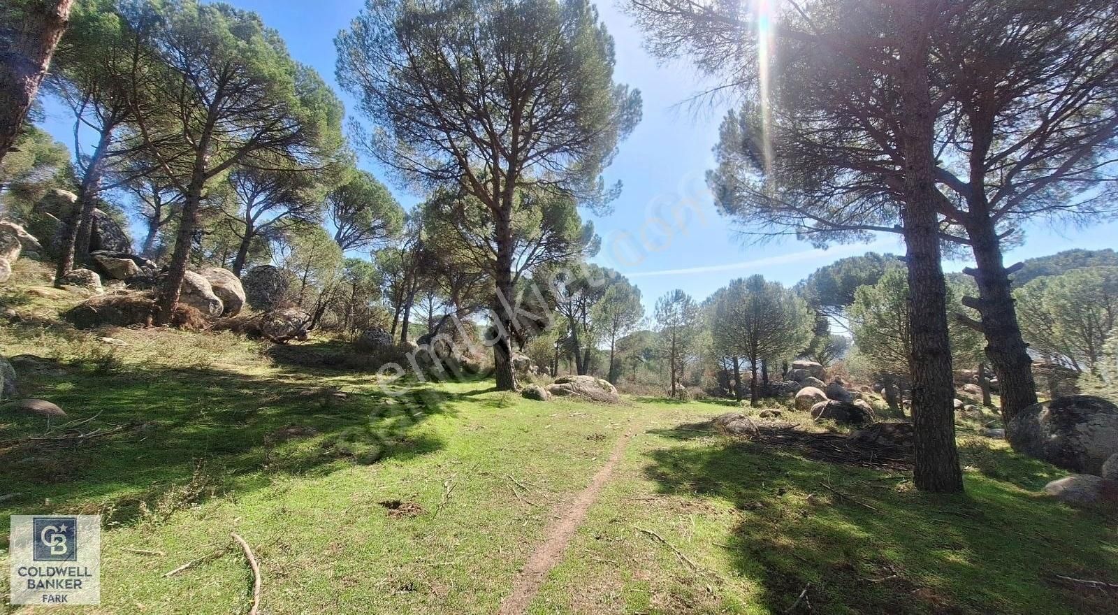 Ayvalık Bağyüzü Satılık 5868 M² Yatırımlık Tarım İmarlı Arazi - Görsel 15